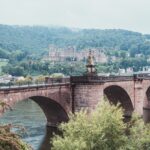 brown concrete bridge over river